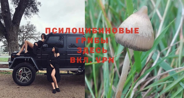 прущая мука Беломорск