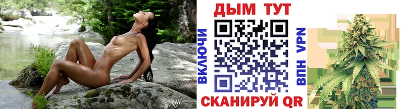 Купить  Новодвинск  Каннабис план 